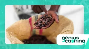 The Craziest Things Ever Accepted as Legal Tender